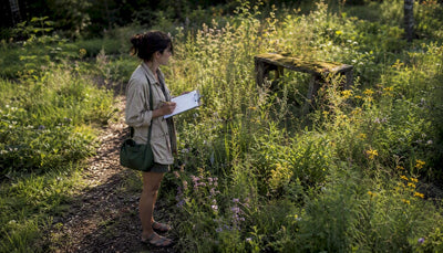 Scientist inspecting young trees in forest