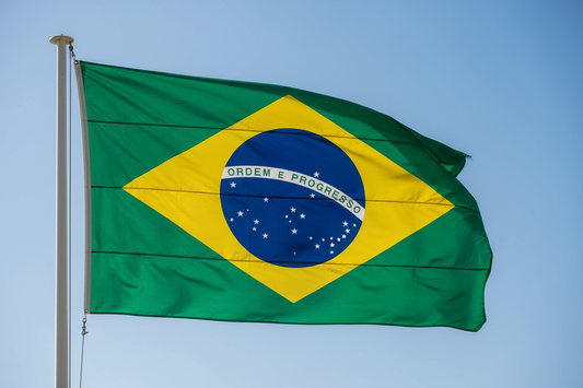 Brazil Santos medium roast coffee with mandarin orange and cocoa notes, sourced from Brazil