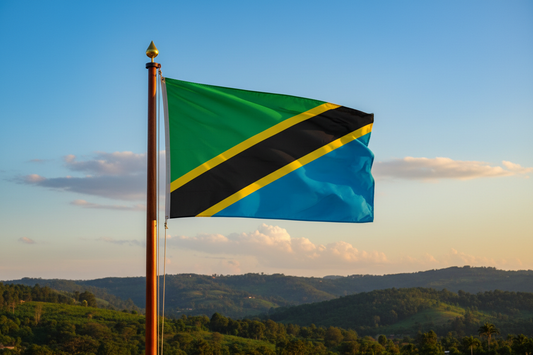 tanzania flag